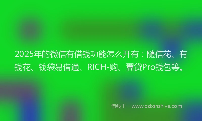 2025年的微信有借钱功能怎么开有：随信花、有钱花、钱袋易借通、RICH-购、翼贷Pro钱包等。
