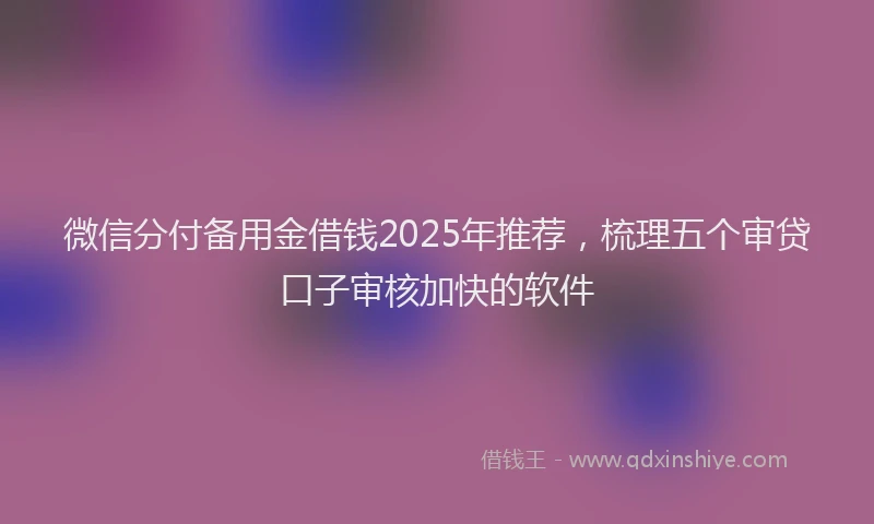 微信分付备用金借钱2025年推荐，梳理五个审贷口子审核加快的软件