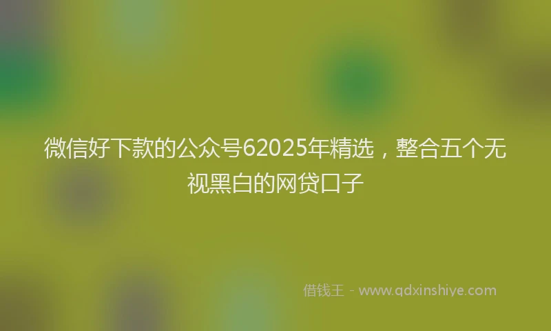 微信好下款的公众号62025年精选，整合五个无视黑白的网贷口子