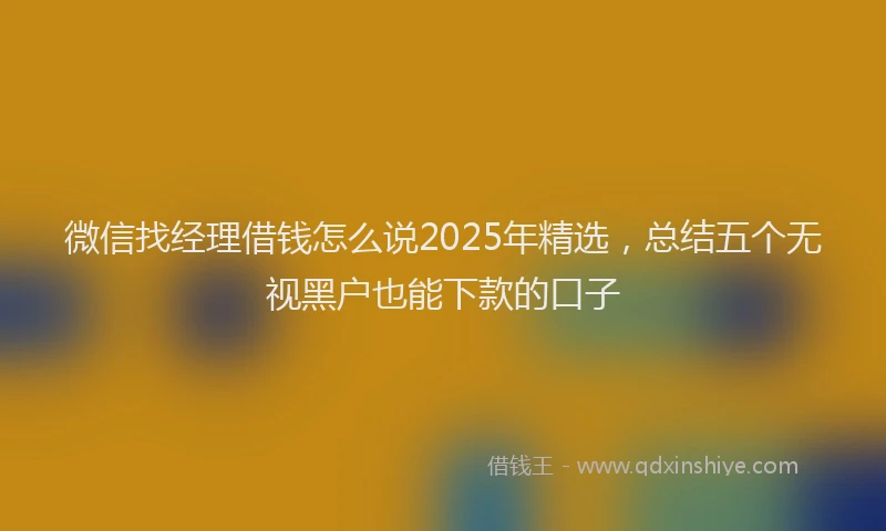 微信找经理借钱怎么说2025年精选，总结五个无视黑户也能下款的口子