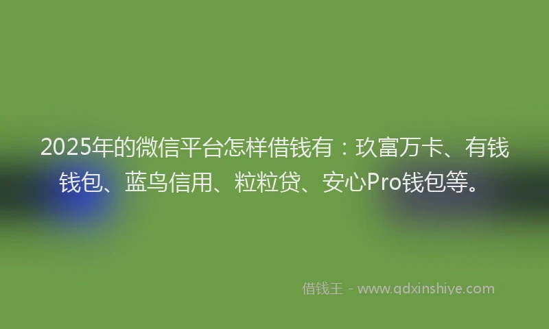 2025年的微信平台怎样借钱有：玖富万卡、有钱钱包、蓝鸟信用、粒粒贷、安心Pro钱包等。