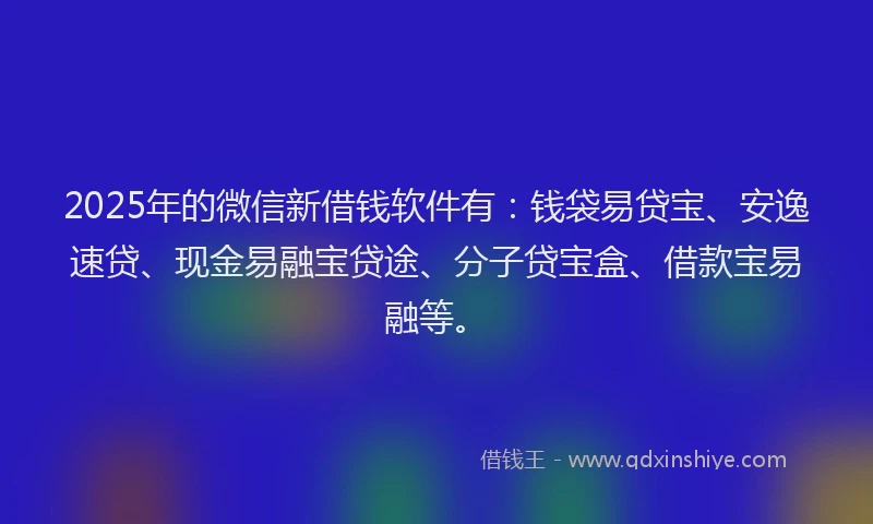 2025年的微信新借钱软件有：钱袋易贷宝、安逸速贷、现金易融宝贷途、分子贷宝盒、借款宝易融等。