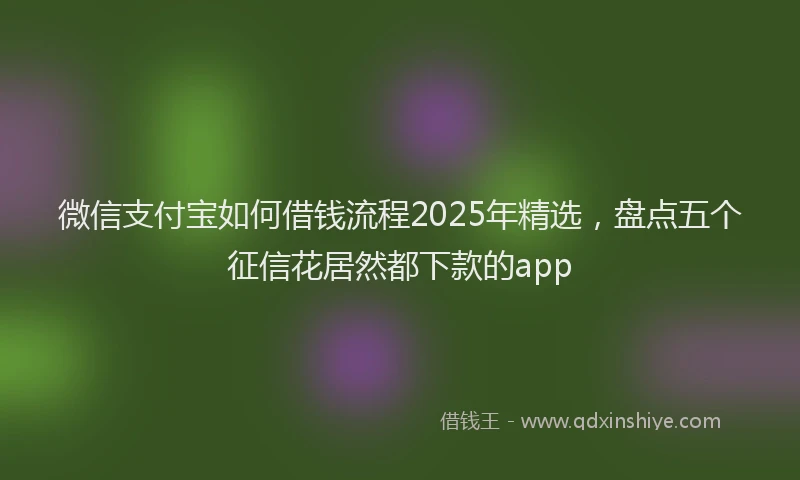 微信支付宝如何借钱流程2025年精选，盘点五个征信花居然都下款的app