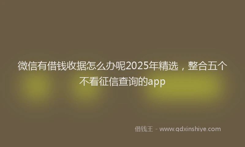 微信有借钱收据怎么办呢2025年精选，整合五个不看征信查询的app