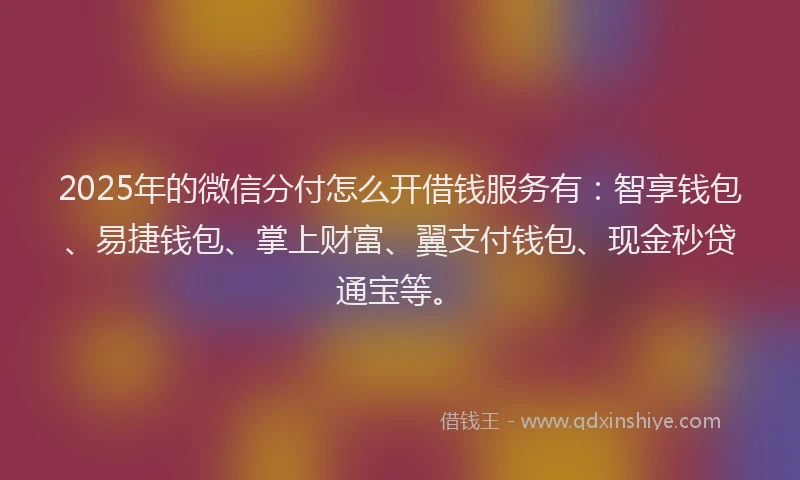 2025年的微信分付怎么开借钱服务有：智享钱包、易捷钱包、掌上财富、翼支付钱包、现金秒贷通宝等。