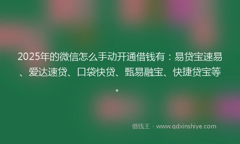 2025年的微信怎么手动开通借钱有：易贷宝速易、爱达速贷、口袋快贷、甄易融宝、快捷贷宝等。