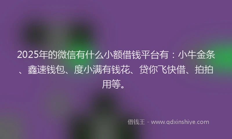 2025年的微信有什么小额借钱平台有：小牛金条、鑫速钱包、度小满有钱花、贷你飞快借、拍拍用等。