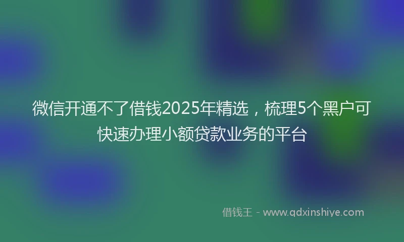微信开通不了借钱2025年精选，梳理5个黑户可快速办理小额贷款业务的平台
