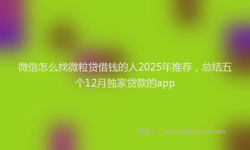 微信怎么找微粒贷借钱的人2025年推荐，总结五个12月独家贷款的app