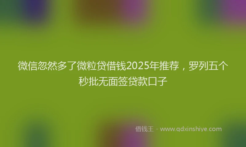 微信忽然多了微粒贷借钱2025年推荐，罗列五个秒批无面签贷款口子
