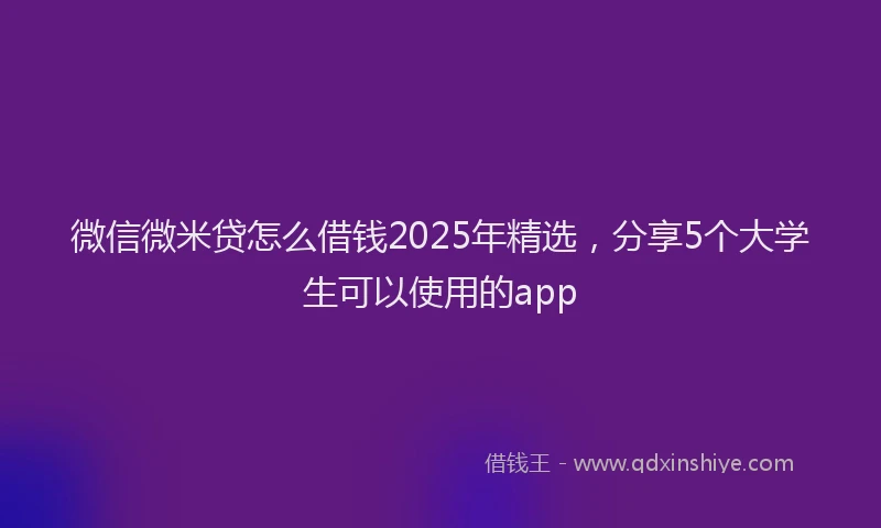 微信微米贷怎么借钱2025年精选，分享5个大学生可以使用的app