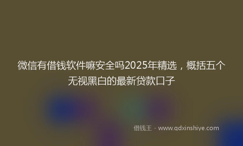 微信有借钱软件嘛安全吗2025年精选，概括五个无视黑白的最新贷款口子