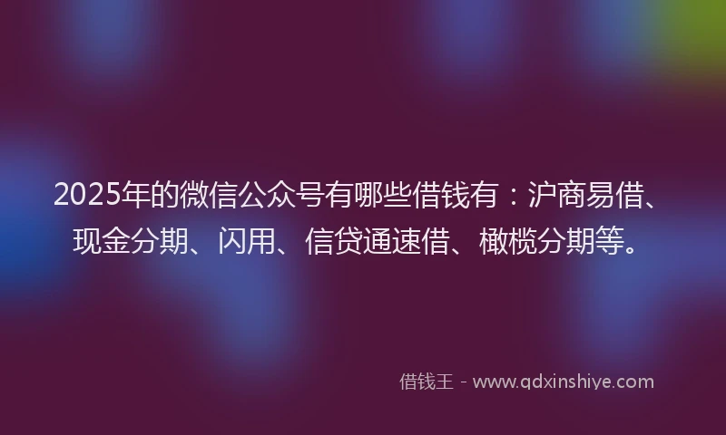 2025年的微信公众号有哪些借钱有：沪商易借、现金分期、闪用、信贷通速借、橄榄分期等。