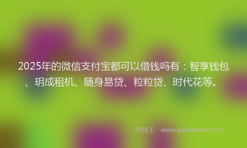 2025年的微信支付宝都可以借钱吗有：智享钱包、玥成租机、随身易贷、粒粒贷、时代花等。