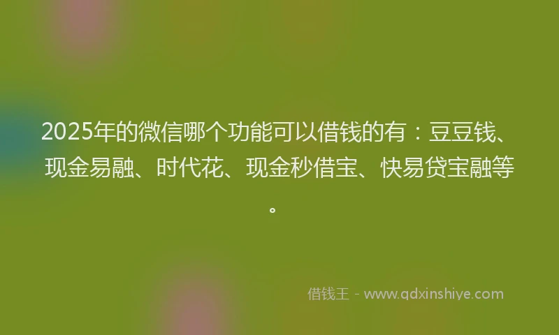 2025年的微信哪个功能可以借钱的有：豆豆钱、现金易融、时代花、现金秒借宝、快易贷宝融等。