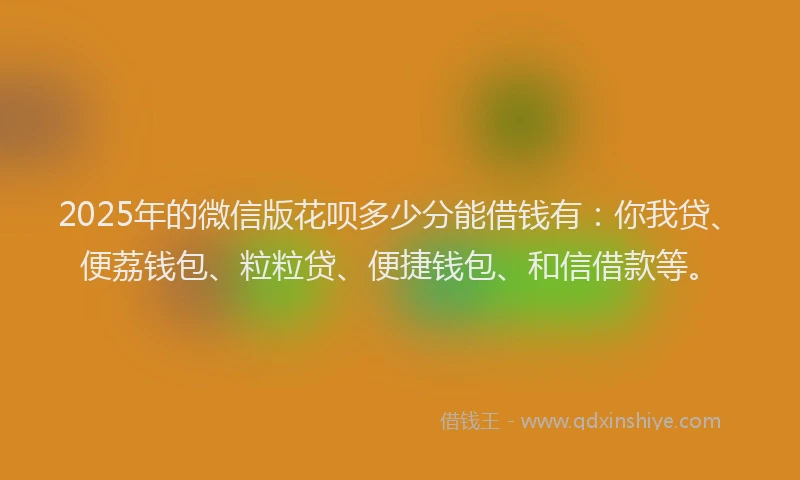 2025年的微信版花呗多少分能借钱有：你我贷、便荔钱包、粒粒贷、便捷钱包、和信借款等。