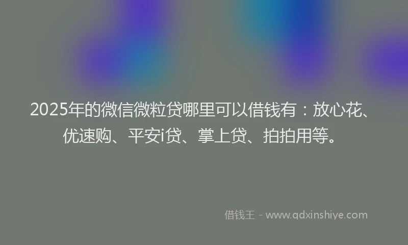 2025年的微信微粒贷哪里可以借钱有：放心花、优速购、平安i贷、掌上贷、拍拍用等。