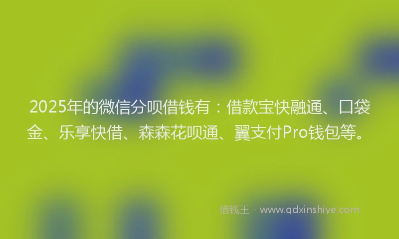 2025年的微信分呗借钱有：借款宝快融通、口袋金、乐享快借、森森花呗通、翼支付Pro钱包等。