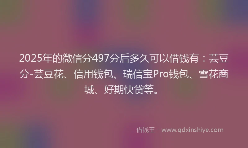2025年的微信分497分后多久可以借钱有：芸豆分-芸豆花、信用钱包、瑞信宝Pro钱包、雪花商城、好期快贷等。