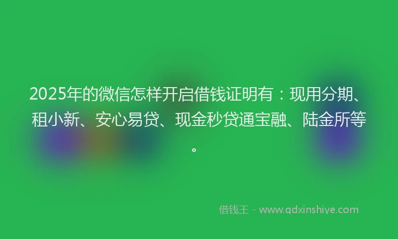 2025年的微信怎样开启借钱证明有：现用分期、租小新、安心易贷、现金秒贷通宝融、陆金所等。