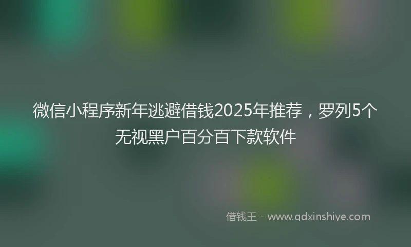 微信小程序新年逃避借钱2025年推荐，罗列5个无视黑户百分百下款软件