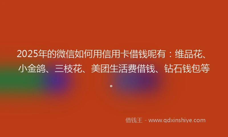 2025年的微信如何用信用卡借钱呢有：维品花、小金鸽、三枝花、美团生活费借钱、钻石钱包等。