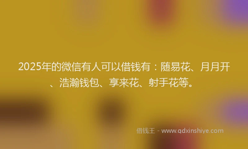 2025年的微信有人可以借钱有：随易花、月月开、浩瀚钱包、享来花、射手花等。