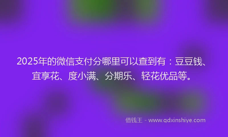 2025年的微信支付分哪里可以查到有：豆豆钱、宜享花、度小满、分期乐、轻花优品等。