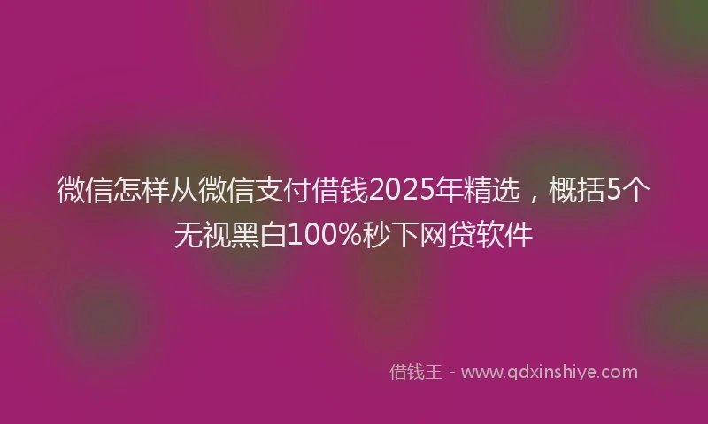 微信怎样从微信支付借钱2025年精选，概括5个无视黑白100%秒下网贷软件