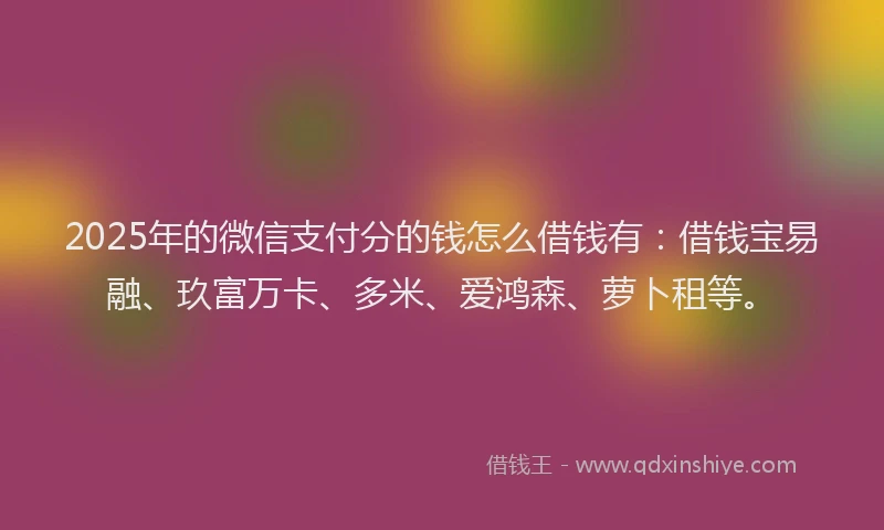 2025年的微信支付分的钱怎么借钱有：借钱宝易融、玖富万卡、多米、爱鸿森、萝卜租等。