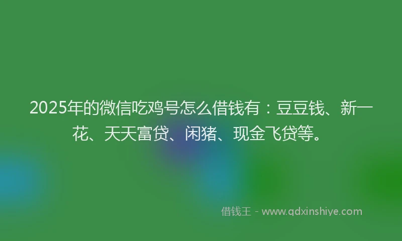2025年的微信吃鸡号怎么借钱有：豆豆钱、新一花、天天富贷、闲猪、现金飞贷等。
