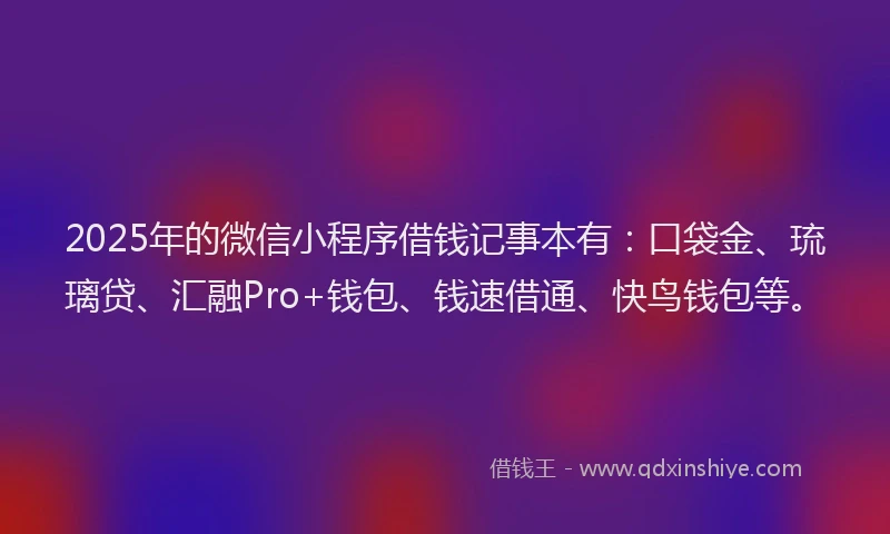 2025年的微信小程序借钱记事本有：口袋金、琉璃贷、汇融Pro+钱包、钱速借通、快鸟钱包等。
