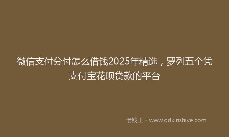 微信支付分付怎么借钱2025年精选，罗列五个凭支付宝花呗贷款的平台