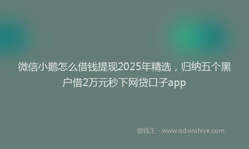 微信小鹅怎么借钱提现2025年精选，归纳五个黑户借2万元秒下网贷口子app