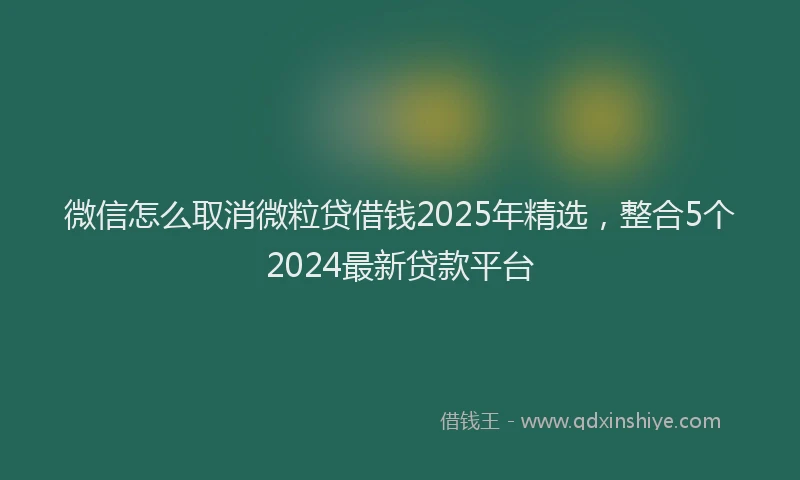 微信怎么取消微粒贷借钱2025年精选，整合5个2024最新贷款平台