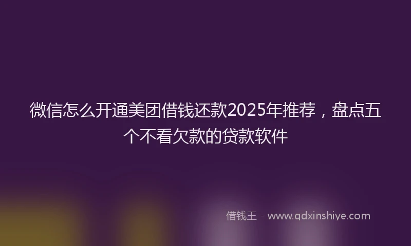 微信怎么开通美团借钱还款2025年推荐，盘点五个不看欠款的贷款软件