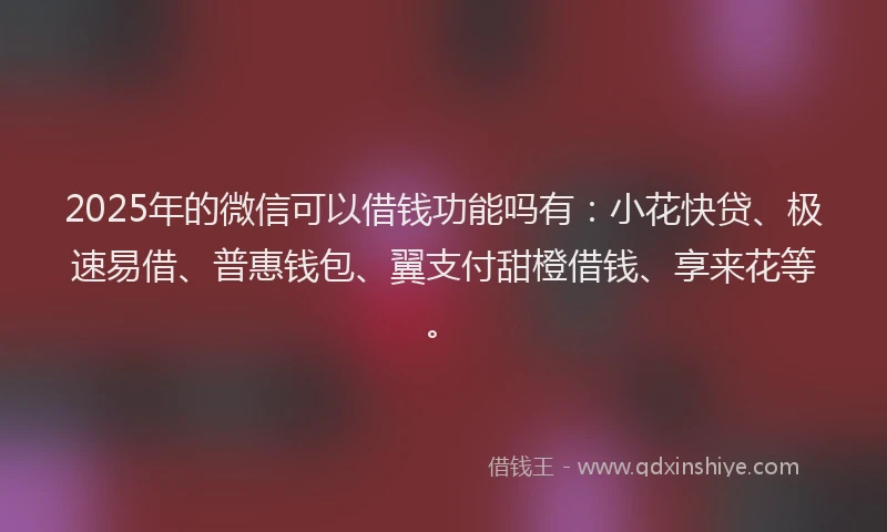 2025年的微信可以借钱功能吗有：小花快贷、极速易借、普惠钱包、翼支付甜橙借钱、享来花等。