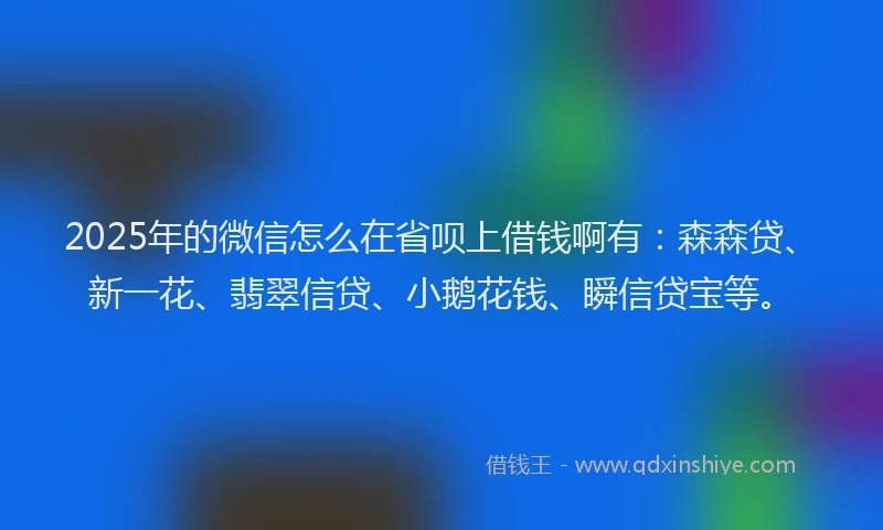 2025年的微信怎么在省呗上借钱啊有：森森贷、新一花、翡翠信贷、小鹅花钱、瞬信贷宝等。