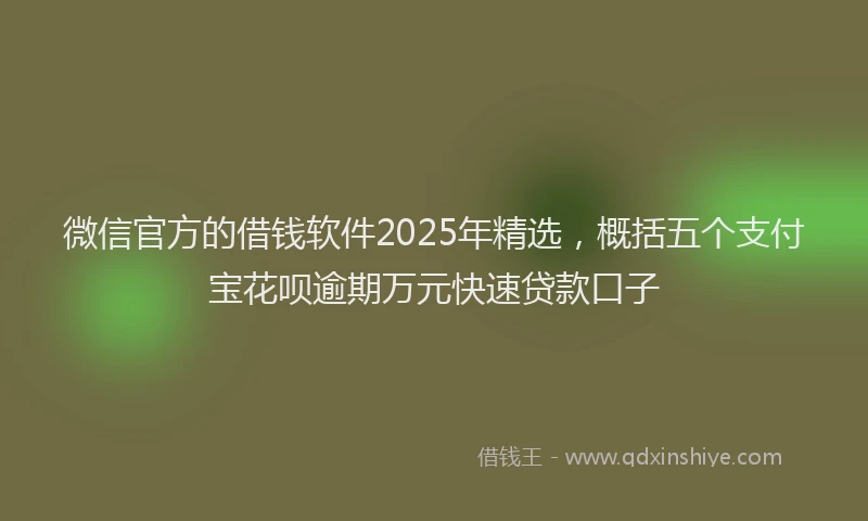 微信官方的借钱软件2025年精选，概括五个支付宝花呗逾期万元快速贷款口子
