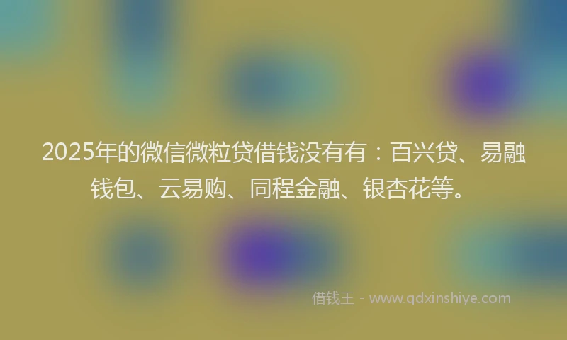 2025年的微信微粒贷借钱没有有：百兴贷、易融钱包、云易购、同程金融、银杏花等。