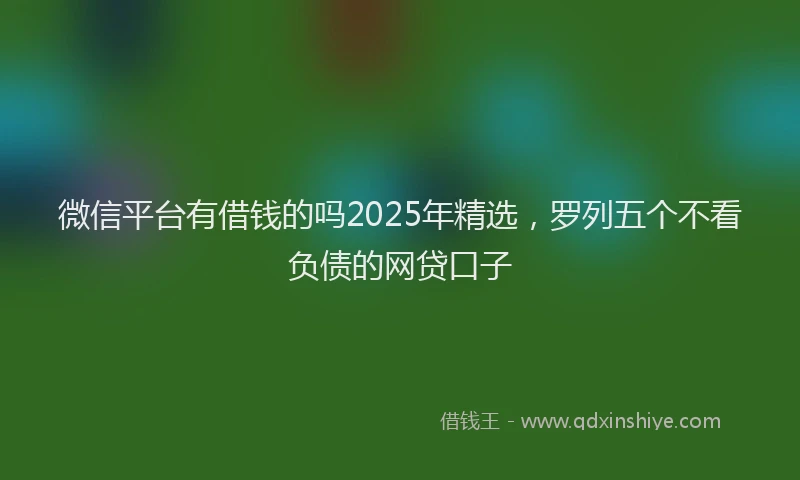 微信平台有借钱的吗2025年精选，罗列五个不看负债的网贷口子