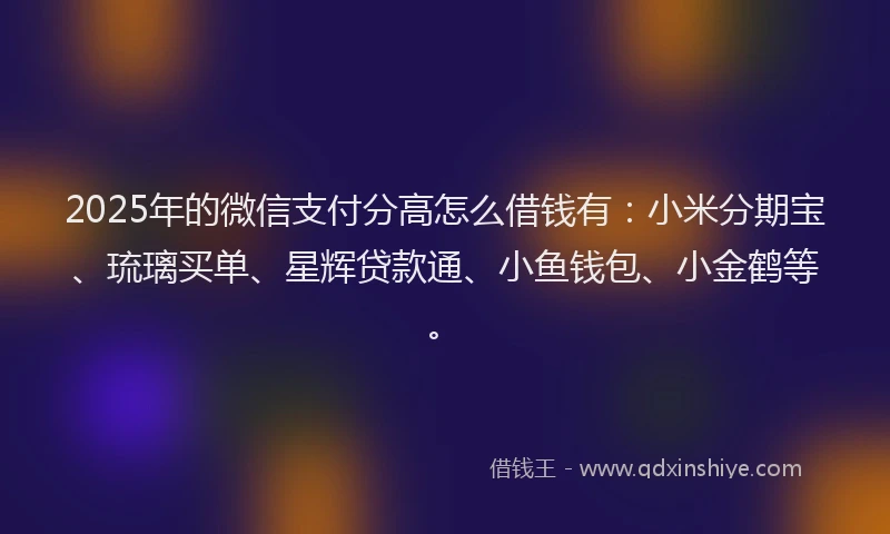 2025年的微信支付分高怎么借钱有：小米分期宝、琉璃买单、星辉贷款通、小鱼钱包、小金鹤等。