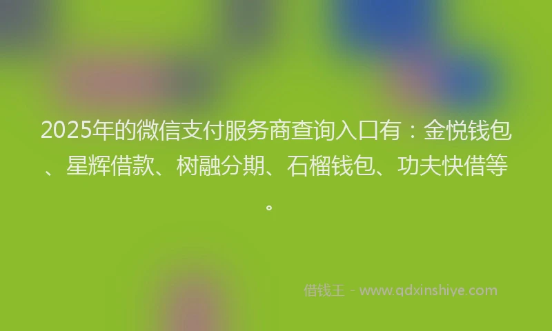 2025年的微信支付服务商查询入口有：金悦钱包、星辉借款、树融分期、石榴钱包、功夫快借等。