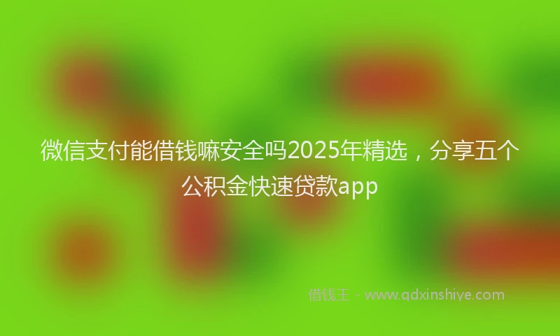 微信支付能借钱嘛安全吗2025年精选，分享五个公积金快速贷款app