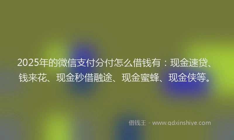 2025年的微信支付分付怎么借钱有：现金速贷、钱来花、现金秒借融途、现金蜜蜂、现金侠等。