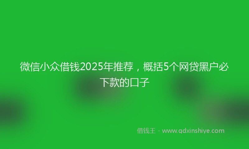 微信小众借钱2025年推荐，概括5个网贷黑户必下款的口子