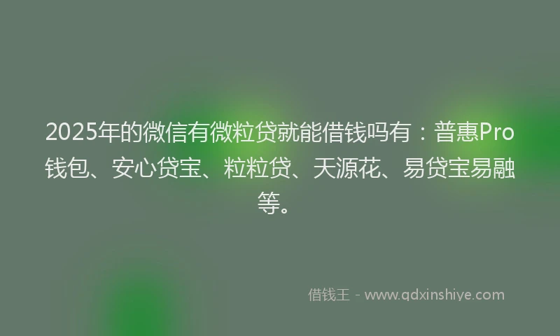 2025年的微信有微粒贷就能借钱吗有：普惠Pro钱包、安心贷宝、粒粒贷、天源花、易贷宝易融等。