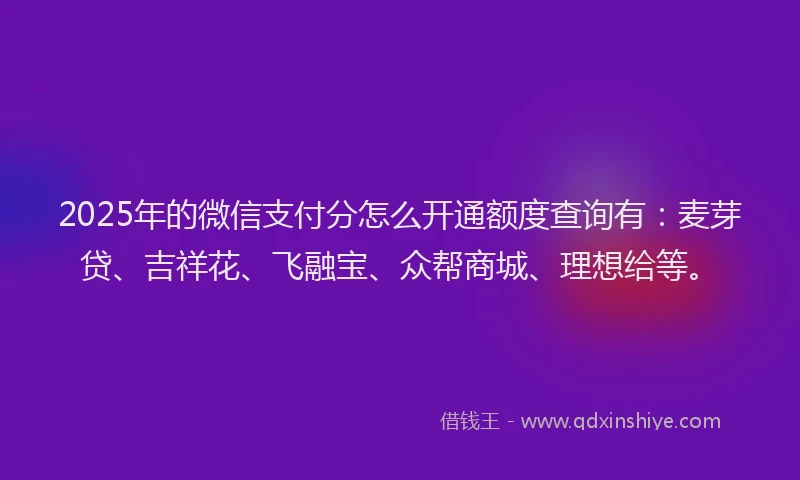 2025年的微信支付分怎么开通额度查询有：麦芽贷、吉祥花、飞融宝、众帮商城、理想给等。