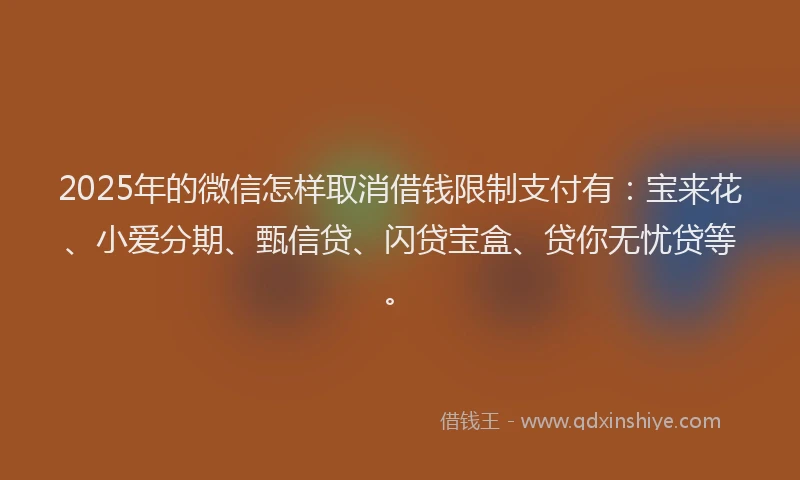 2025年的微信怎样取消借钱限制支付有：宝来花、小爱分期、甄信贷、闪贷宝盒、贷你无忧贷等。