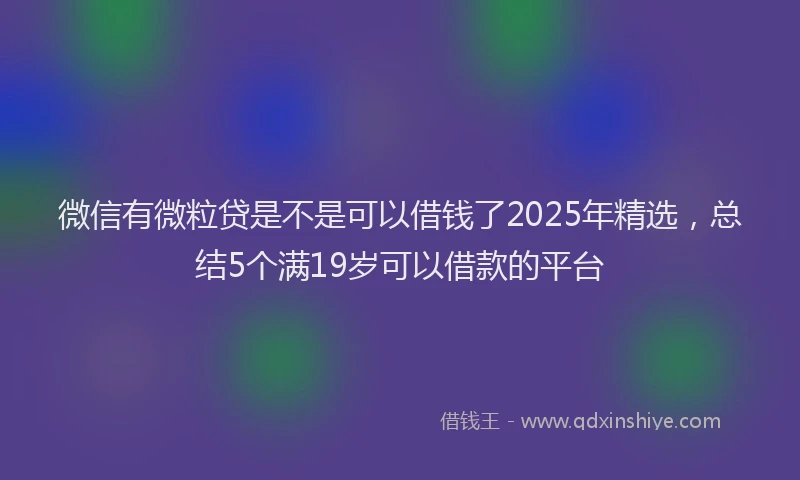 微信有微粒贷是不是可以借钱了2025年精选，总结5个满19岁可以借款的平台